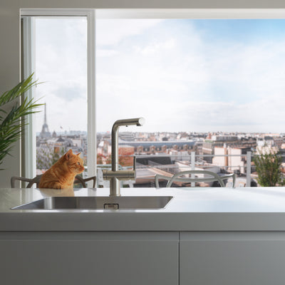 Load image into Gallery viewer, Franke Kitchen Tap Active Twist L-Shape Pull Out
