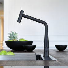 Load image into Gallery viewer, Franke Icon Kitchen Tap L-Shape Pull Out Spray
